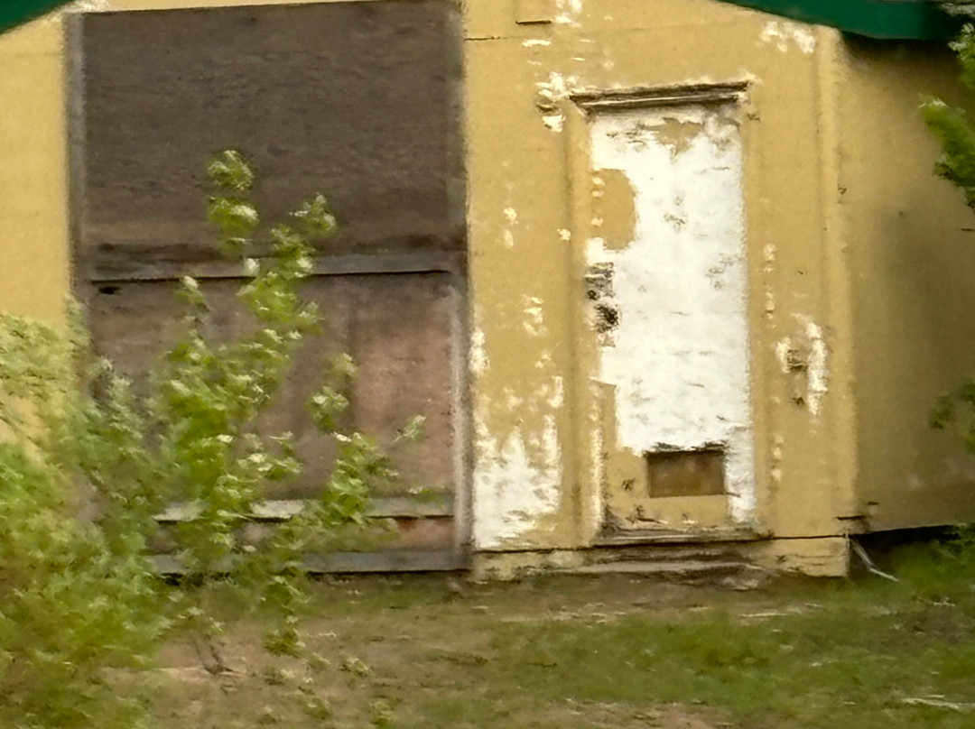 Sandy Beach Regional Park-劳埃德明斯特必去景点