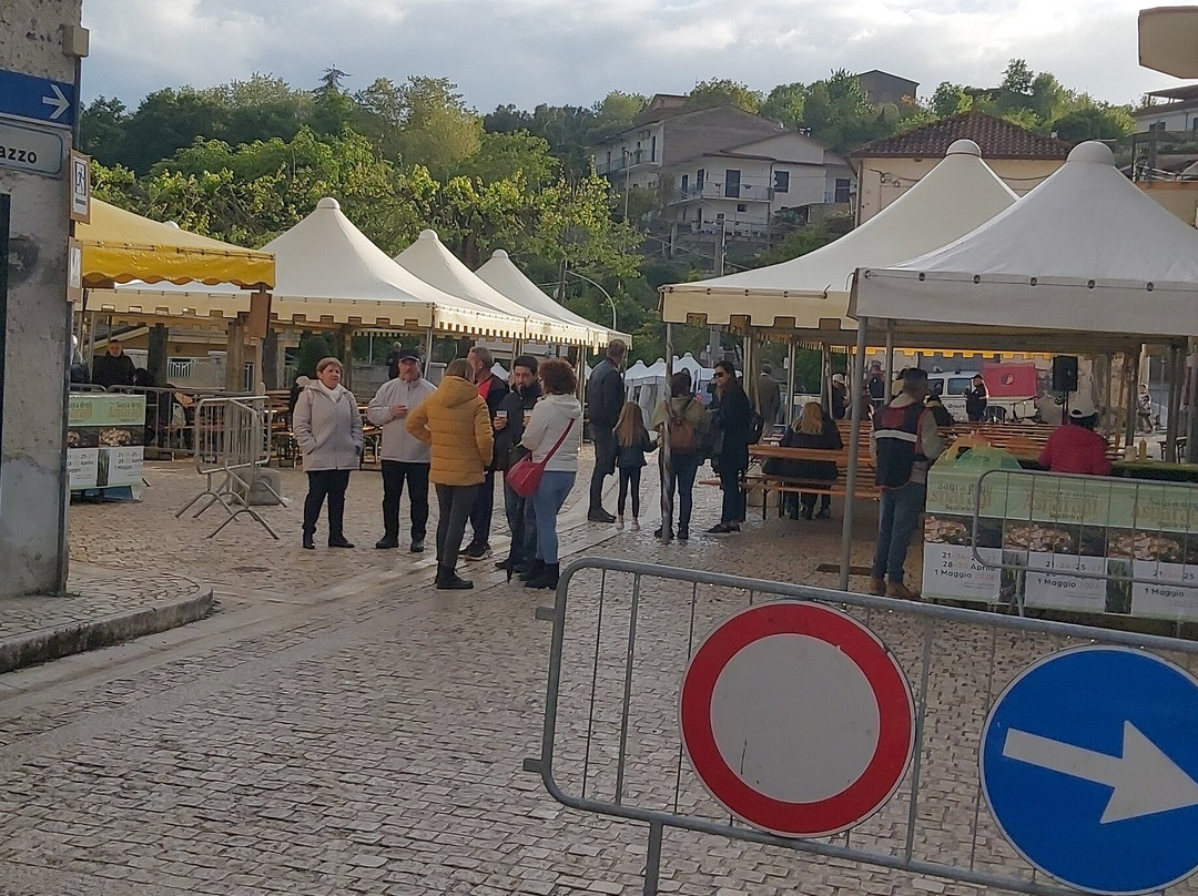 Sagra Dell'asparago Di Squille景点图片