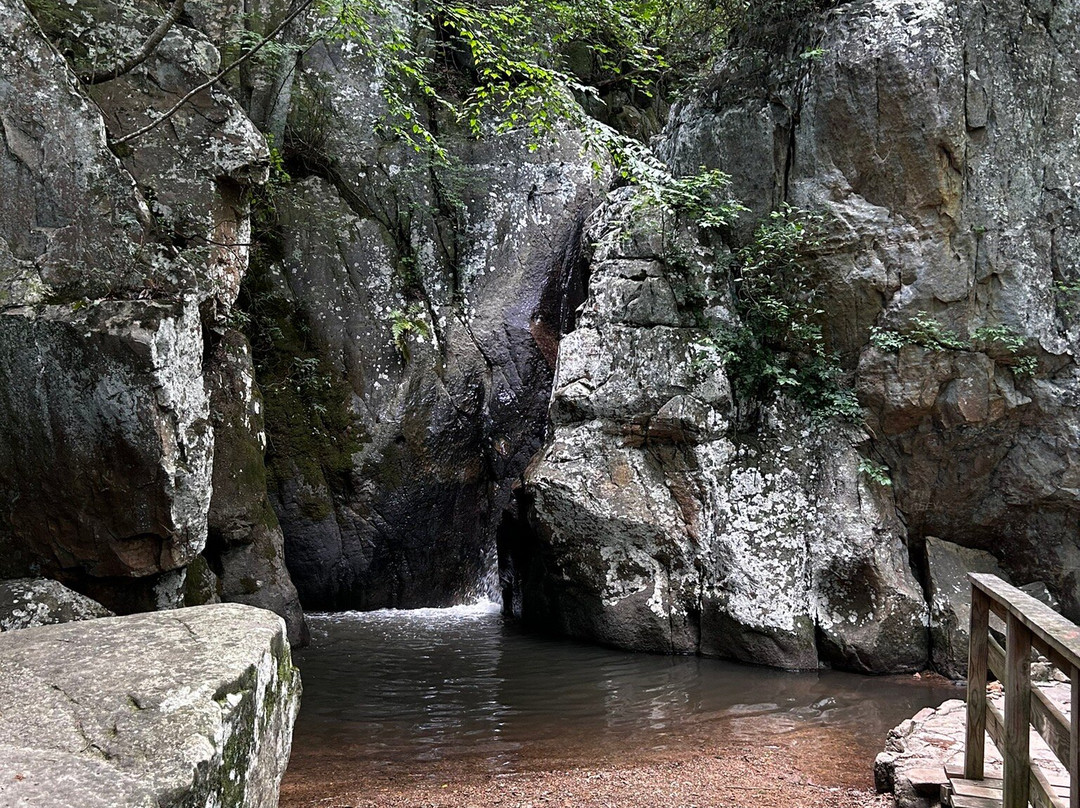 Glen Falls Trail景点图片