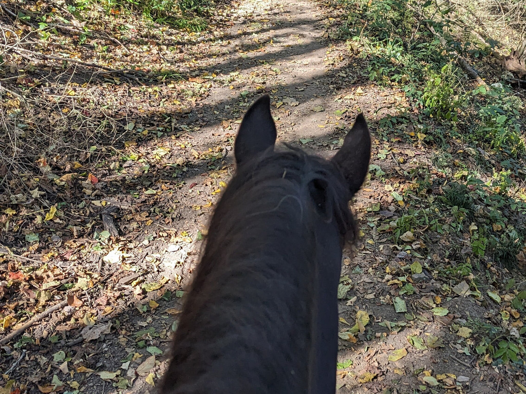 Edwin and Percy Warner Parks-纳什维尔必去景点