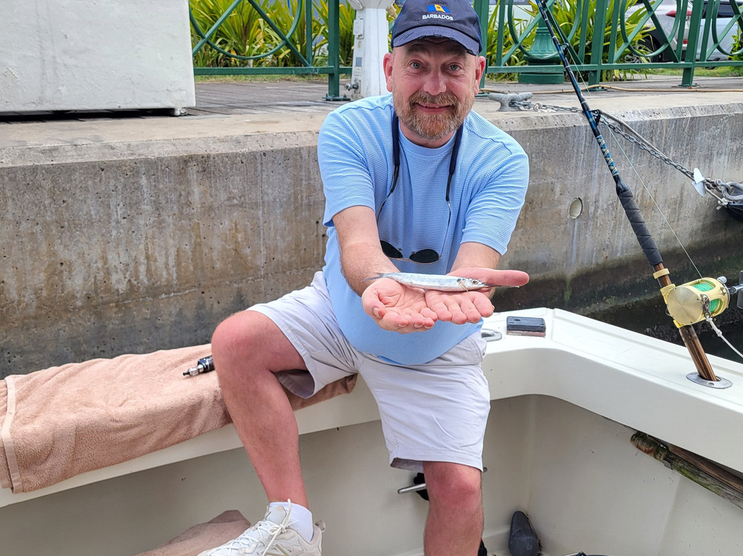 Terrvette Tours & Taxi Service-Maynards必去景点