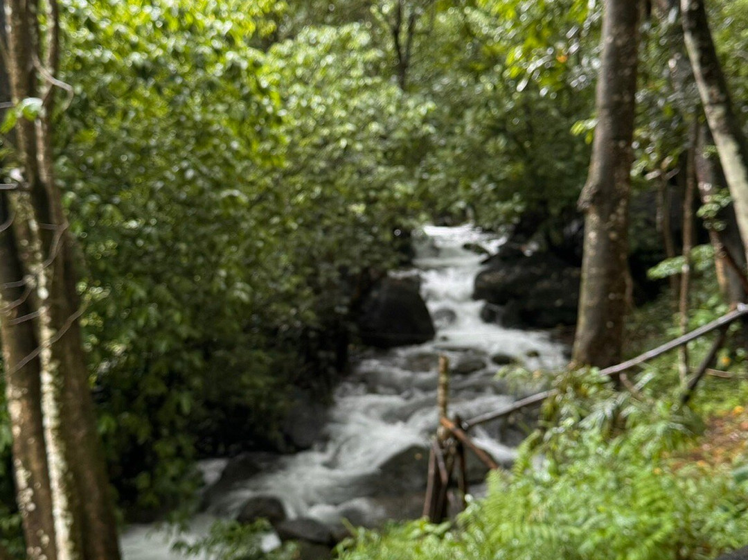 Silent Creek Resort and Spa主图