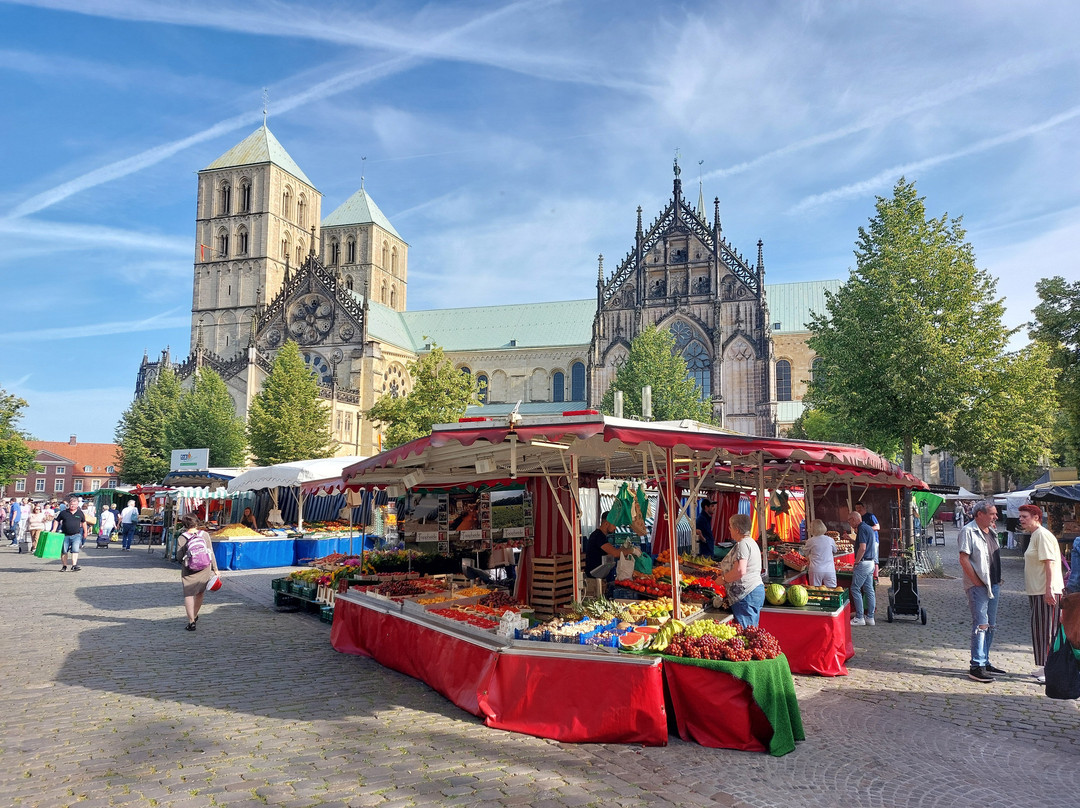 Wochenmarkt Müenster景点图片