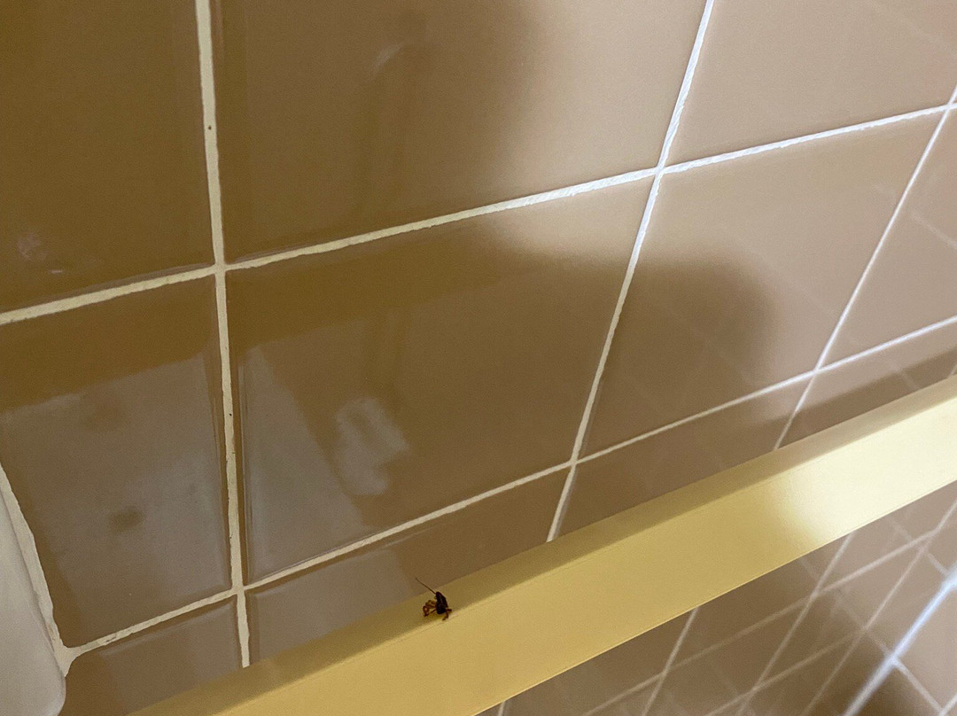 Days Inn by Wyndham Alma主图