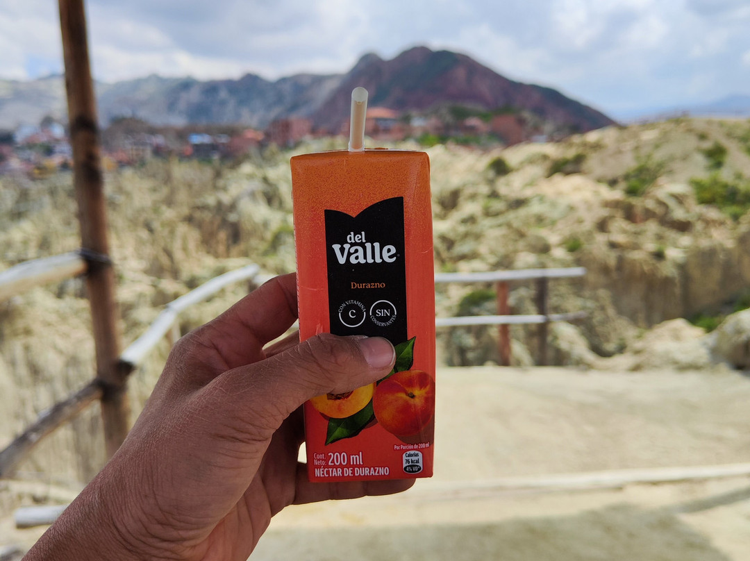 Valley of the Moon-拉巴斯必去景点