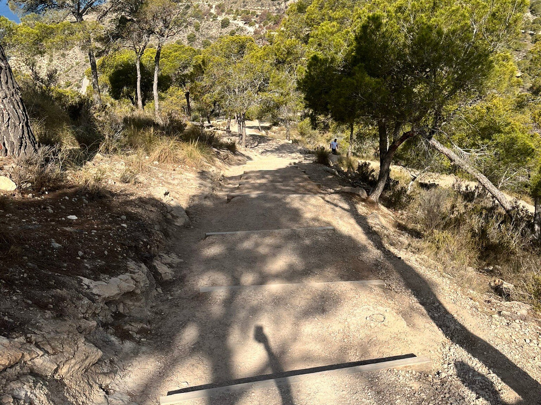 Torre el Aguilo景点图片