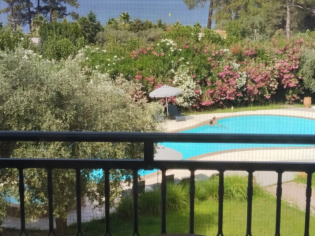 Kohylia by La Scala Beach主图