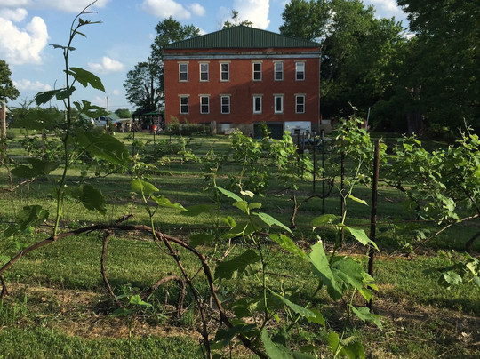 Schoolyard Winery-Verona必去景点