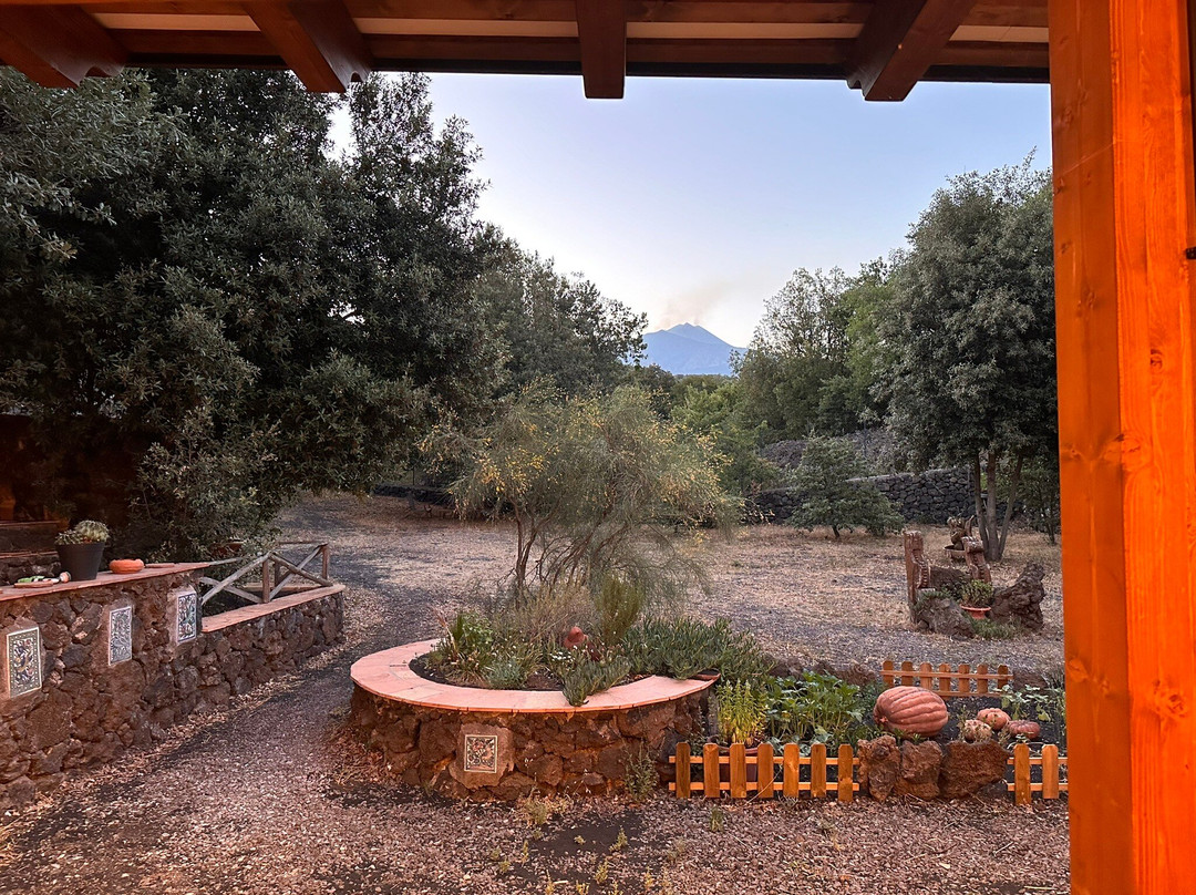 Il Giardino degli Ilici