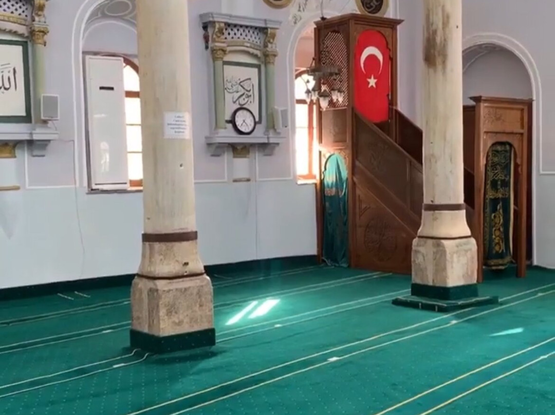 Explore Ephesus by Local Guides-库萨达斯必去景点