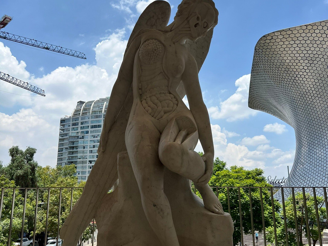 Museo Jumex-墨西哥城必去景点