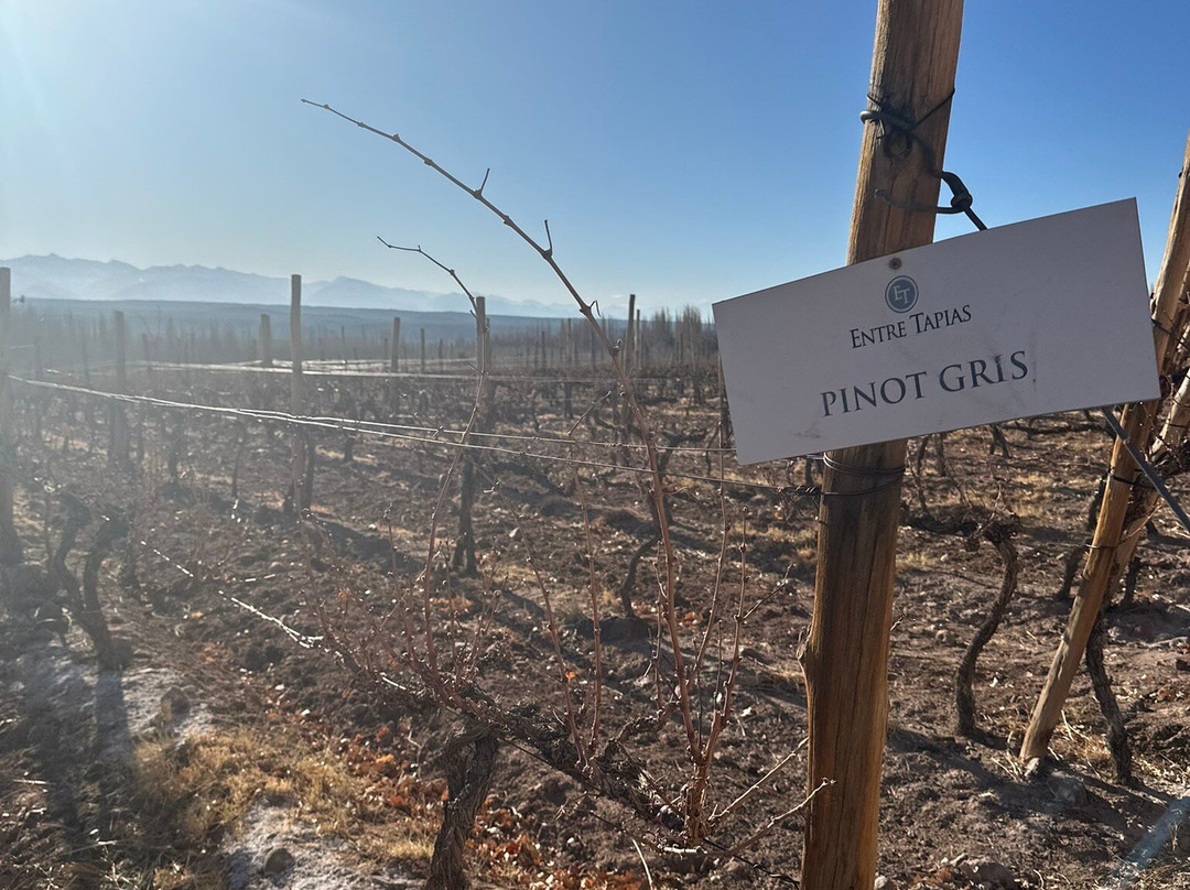 Bodega Entre Tapias-Barreal必去景点