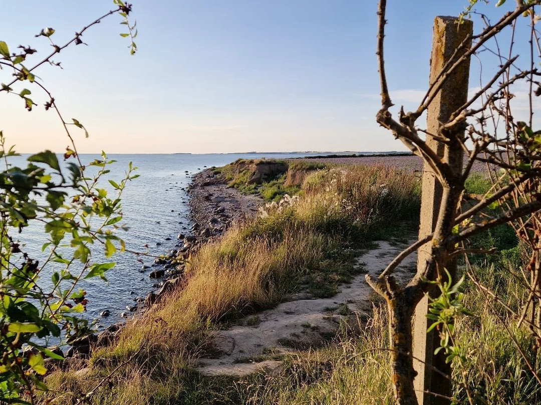 Helnæs Lighthouse景点图片