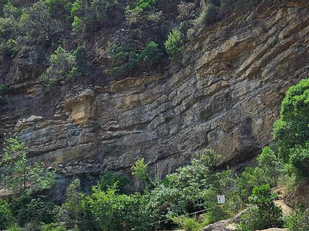 Gorges du Verdouble景点图片
