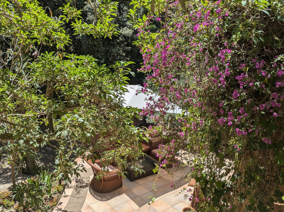 Lago Garden Apart-Suites & Spa Hotel主图