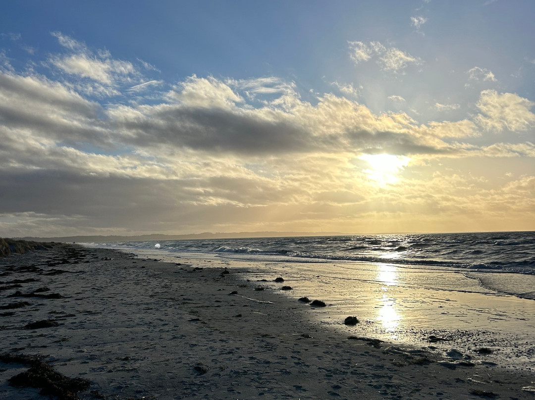 Gudmindrup Beach景点图片