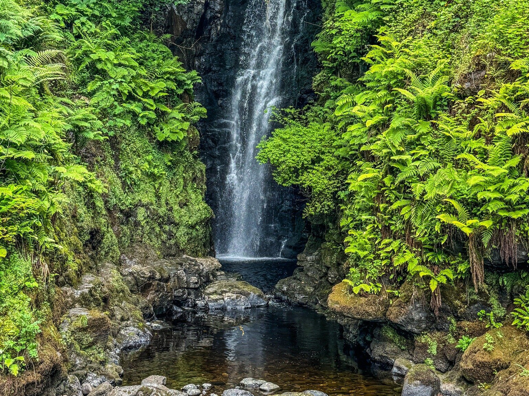 Cranny Falls-Carnlough必去景点