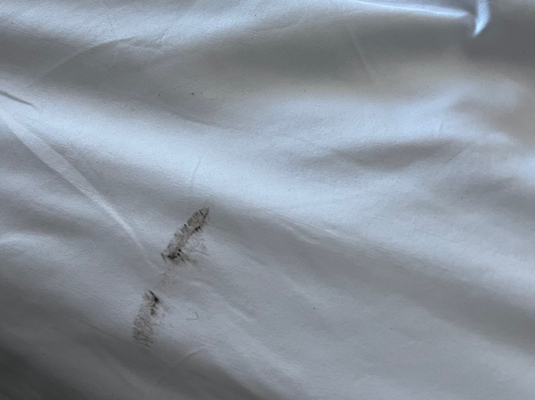 Country Inn & Suites by Radisson, Conyers, GA主图