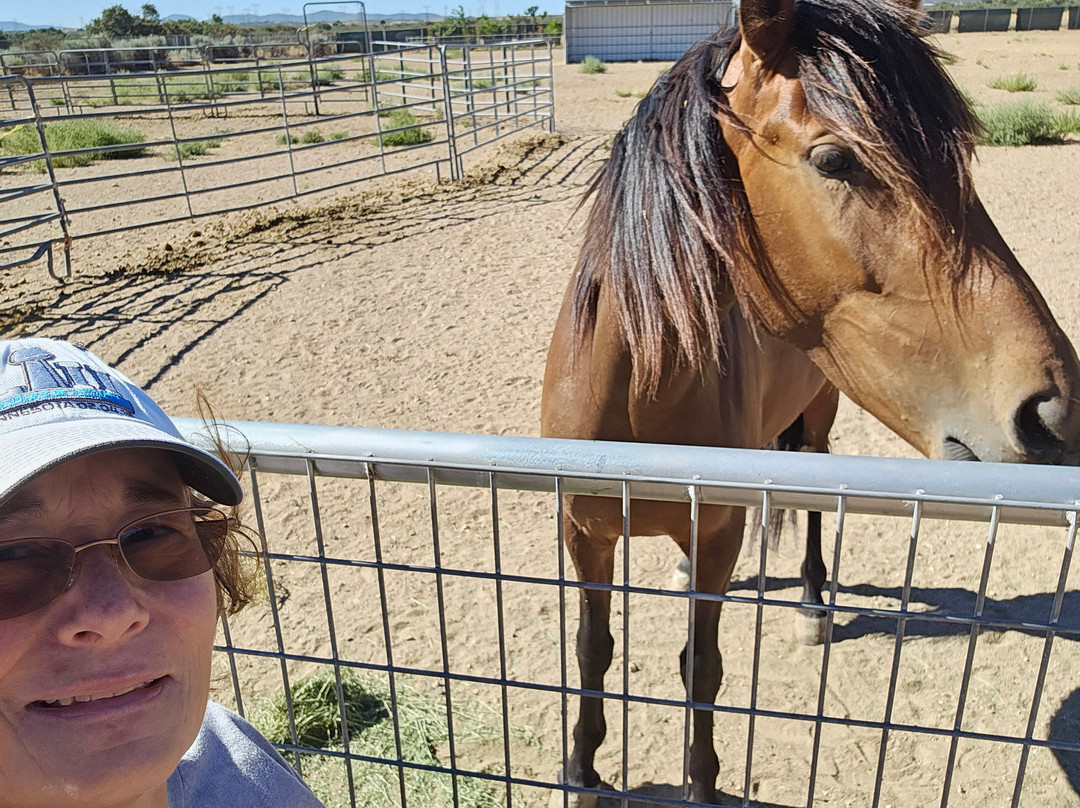 Shoestring City Ranch-Phelan必去景点