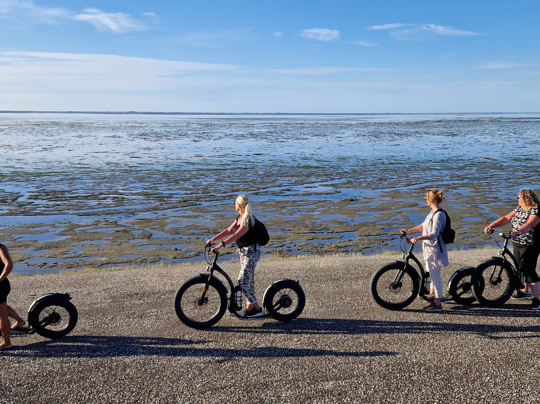 Rondje Wieringen-Den Oever必去景点