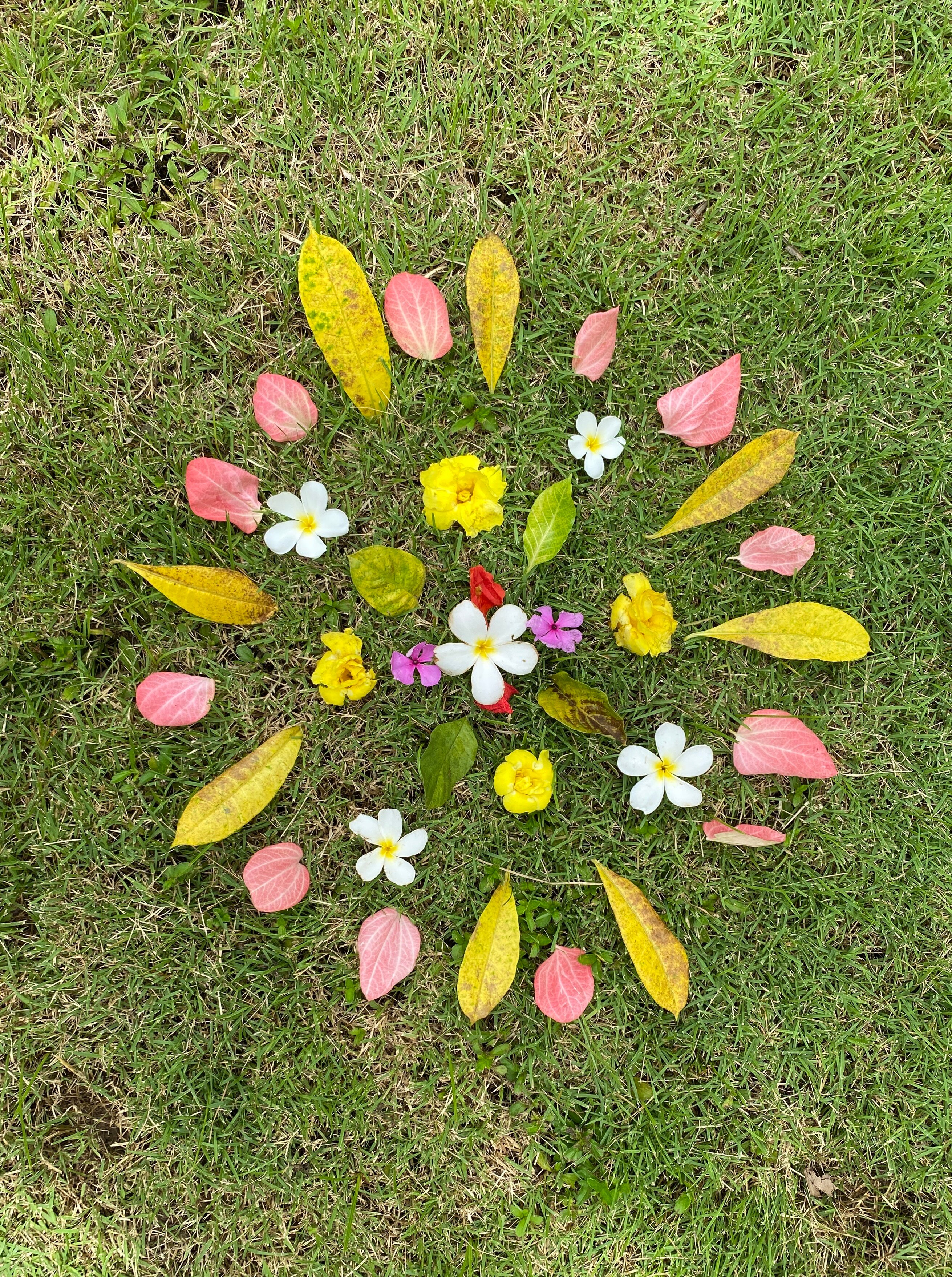Museflower Retreat & Spa-官方