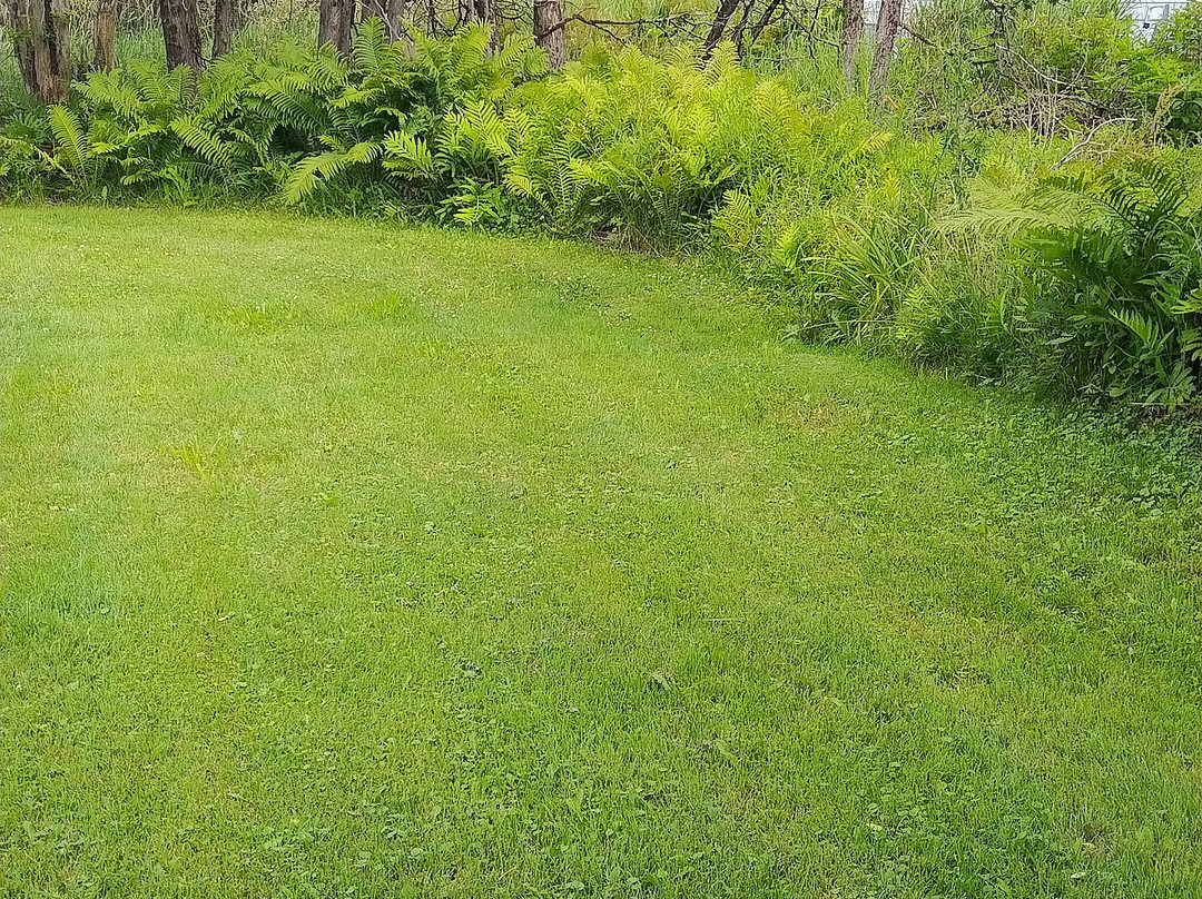 Minden House Cottages主图