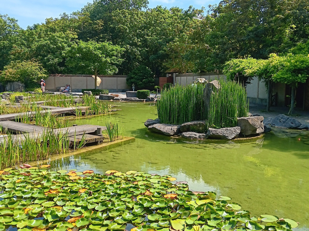 Jardin Japonais-奥斯坦德必去景点