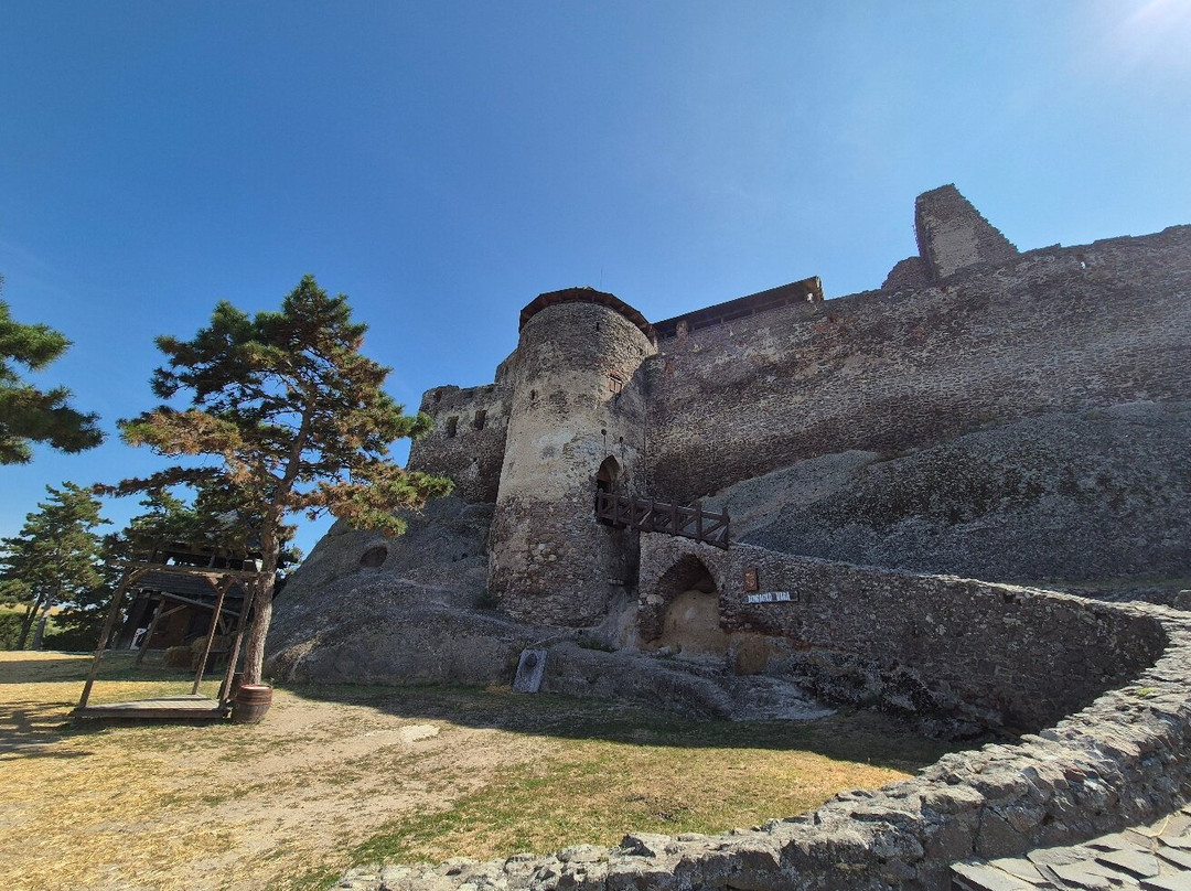 Castle of Boldogko景点图片