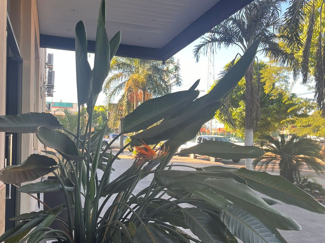 Hotel Residence主图