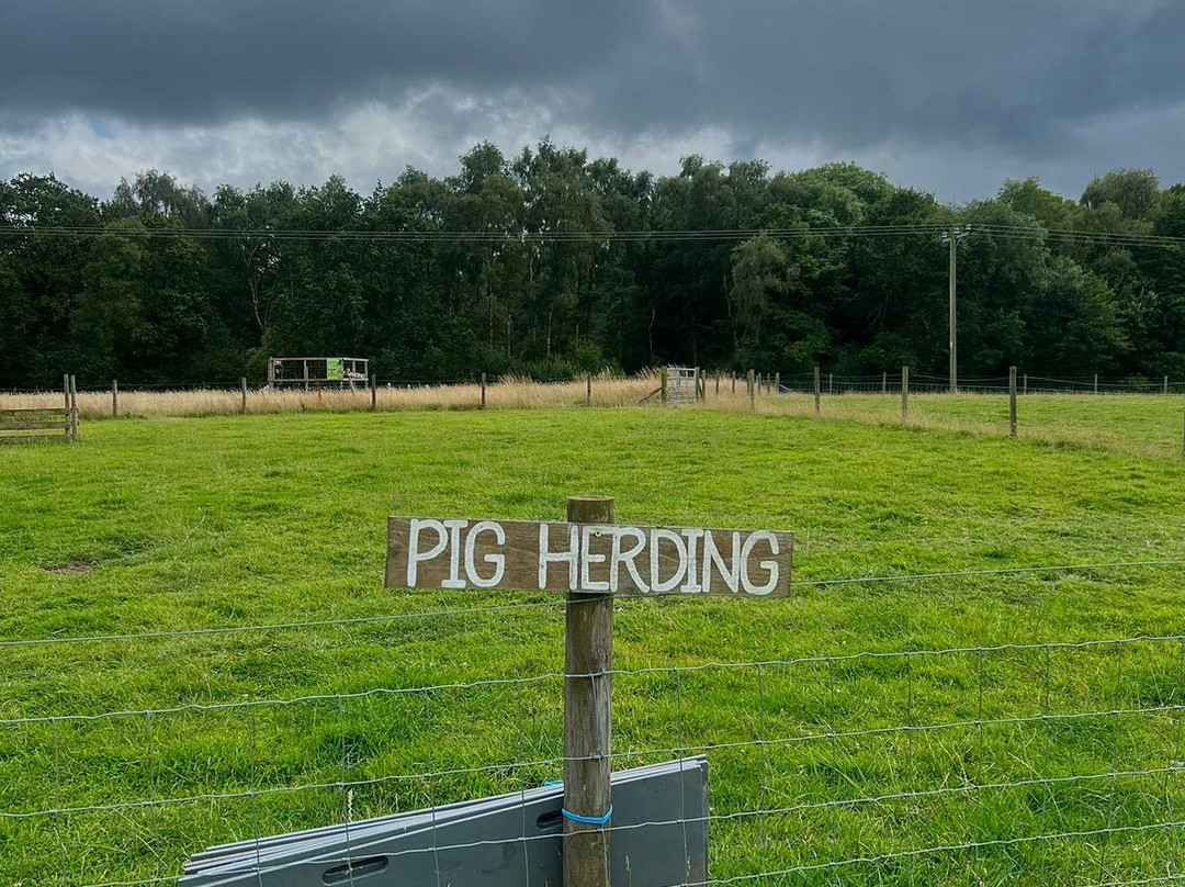 Farm Adventure Shropshire-Whitchurch必去景点