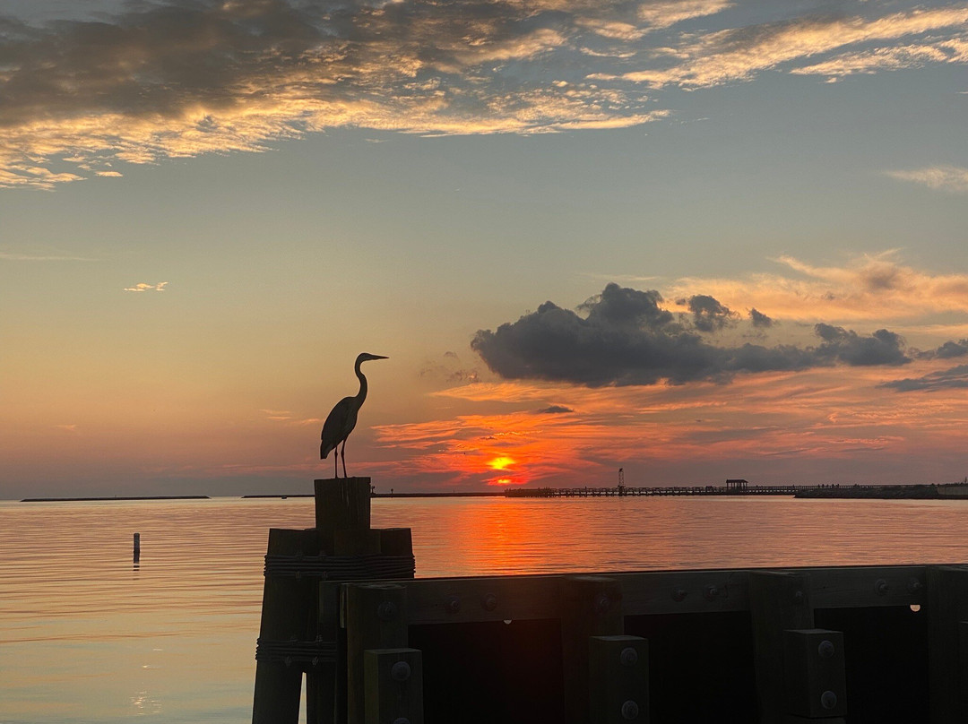 Fig Street Inn主图