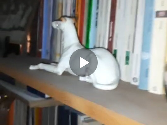 拉特拉莎迪佩蓝戈尼B&B酒店主图