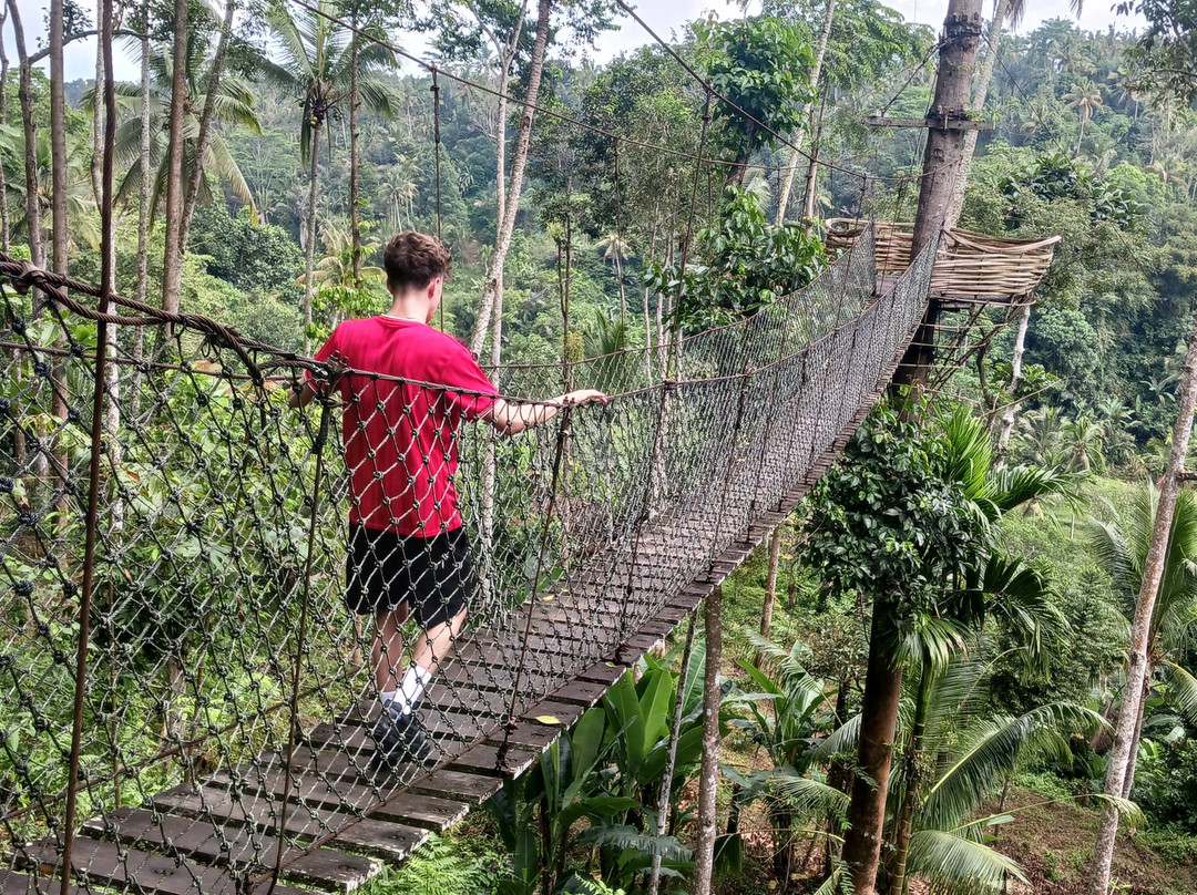 Awesome Bali Cycling-金塔马尼必去景点