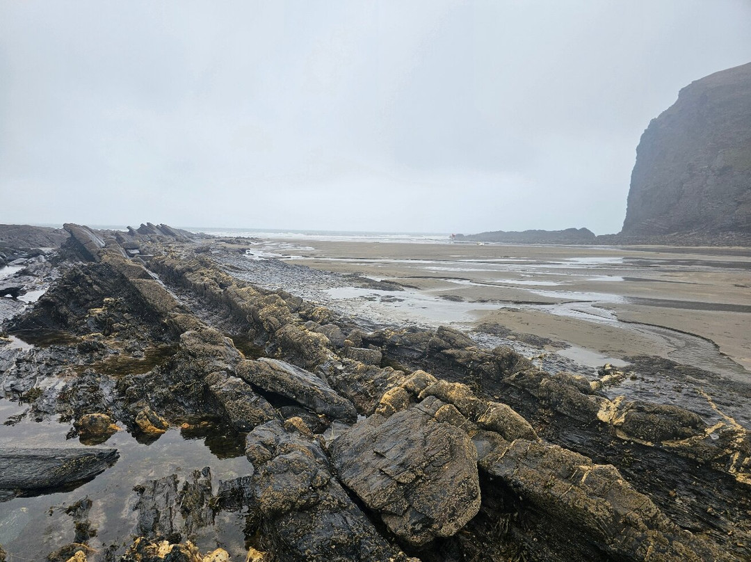 Crackington Haven Beach-Crackington Haven必去景点