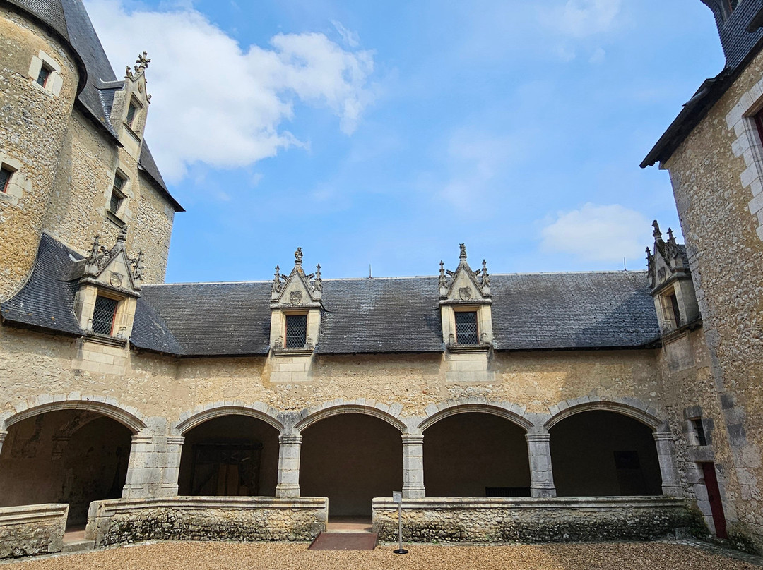 Chateau de Fougeres-sur-Bievre景点图片