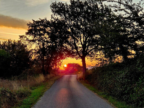 Farmhouse il Canneto主图