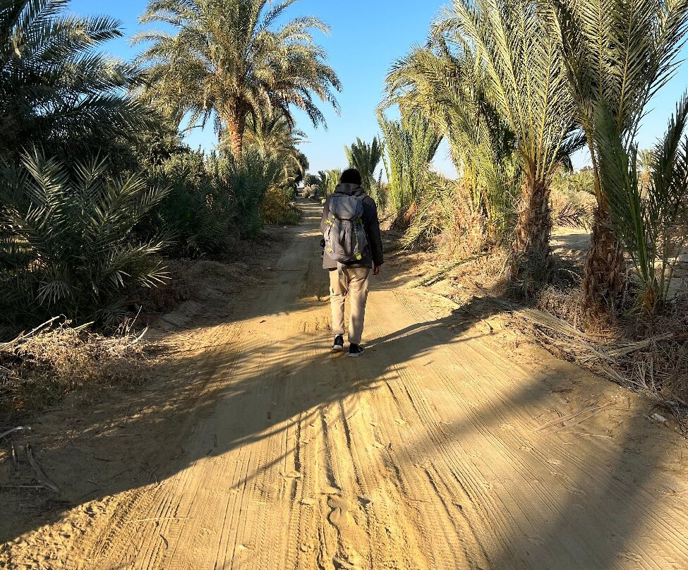 Fayoum Oasis-法尤姆必去景点