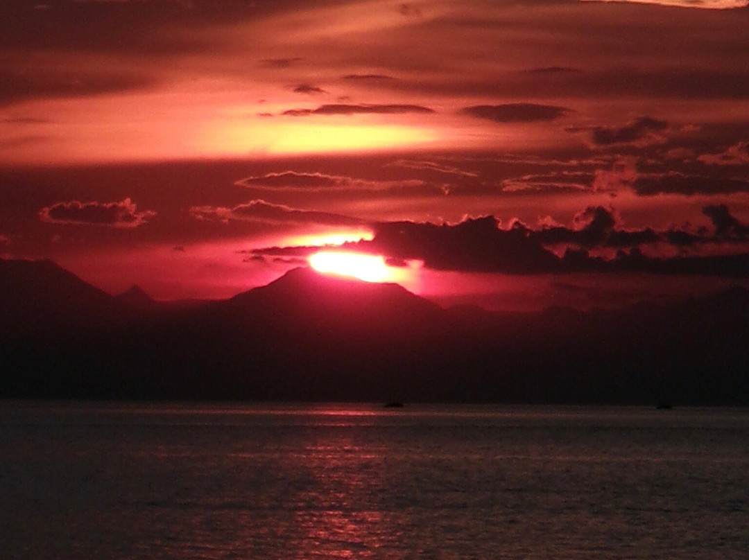 Monkey Homestay & Bar主图