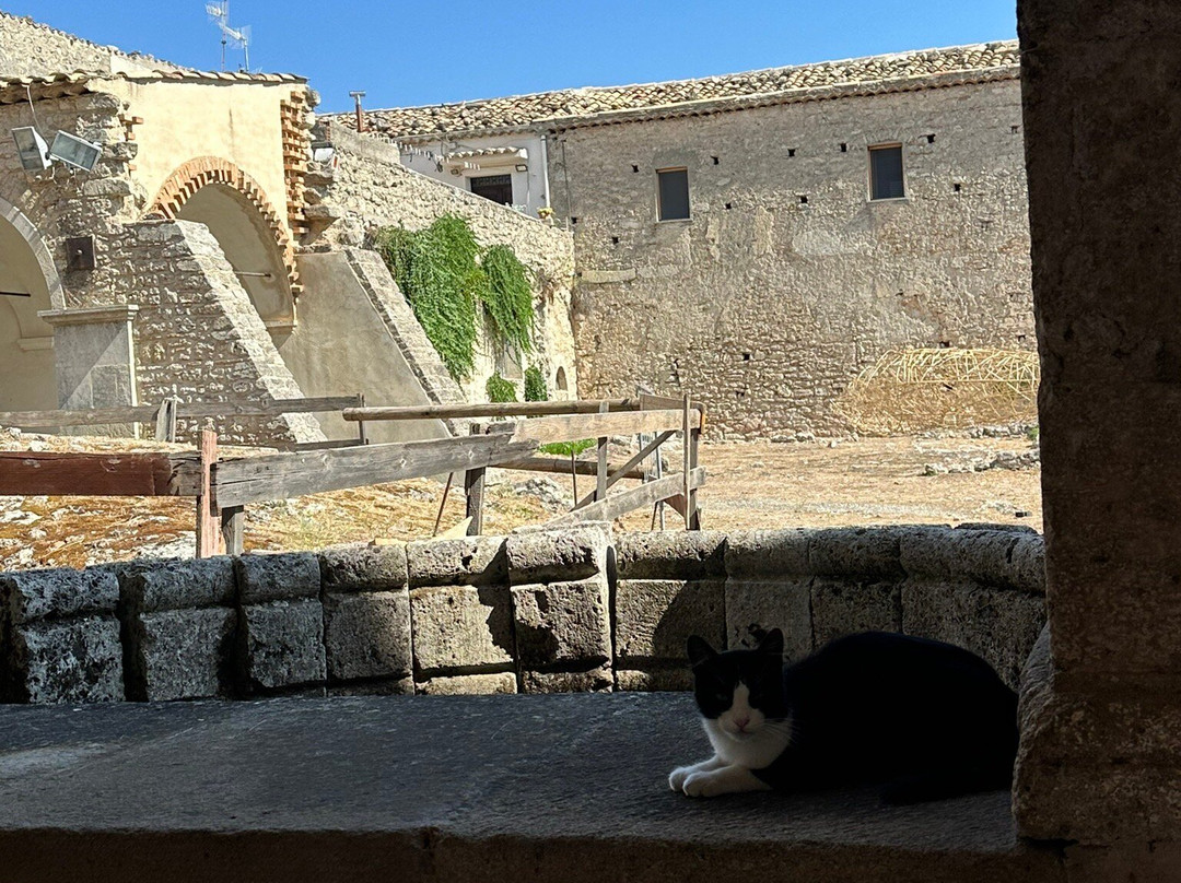 Chiesa di San Francesco d'Assisi景点图片