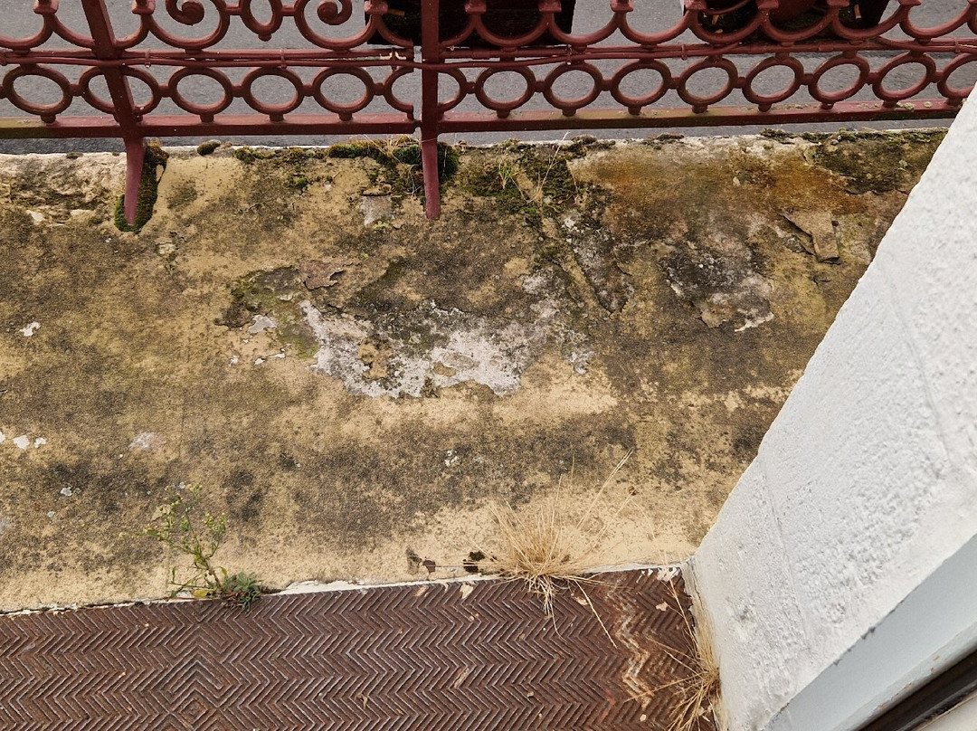 Logis Hôtel de France Rest. le Lucullus主图