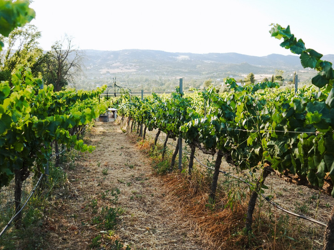 Bodega Huerto De La Condesa-隆达必去景点