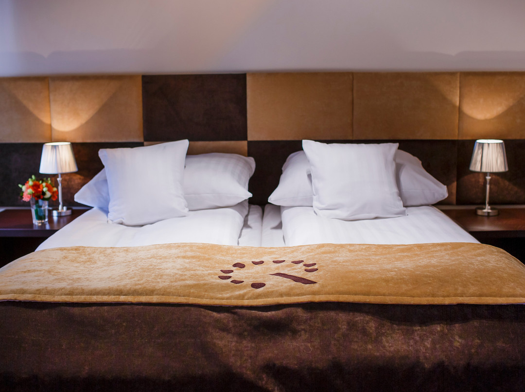 精品酒店 II Rewolucji主图