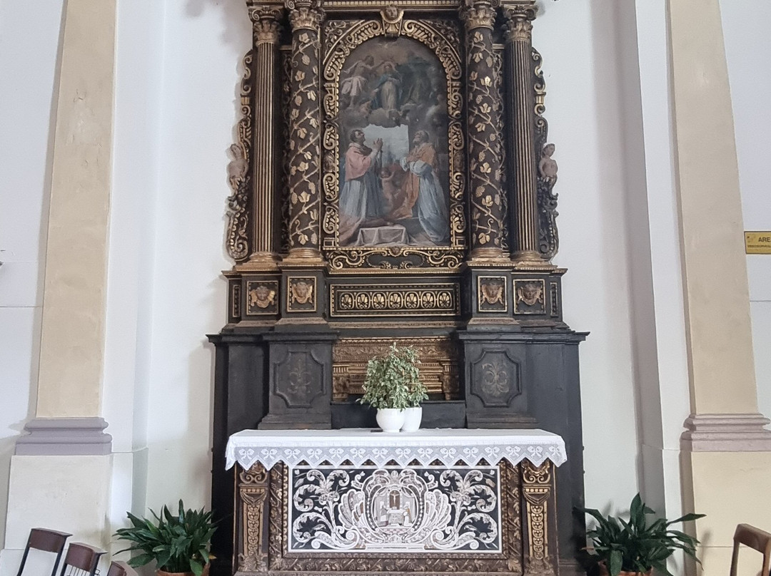 Chiesa della Madonna del Carmine o dei Carmini景点图片