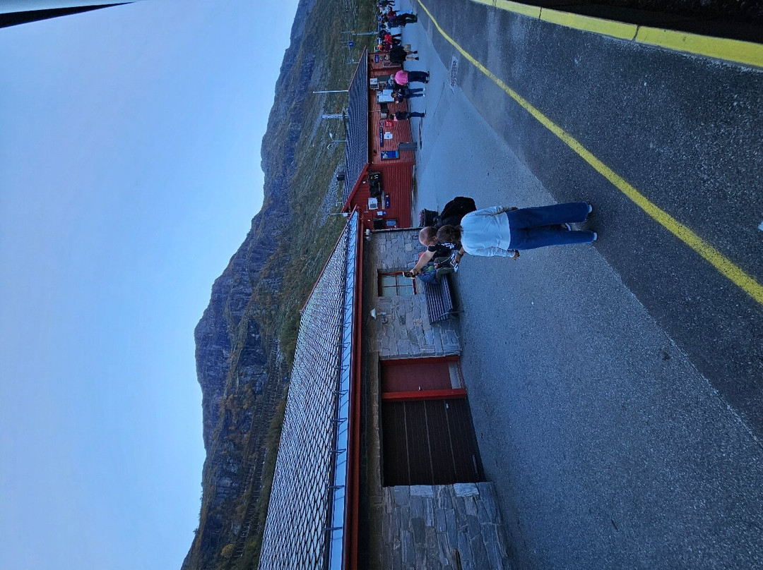 Myrdal Station-米达尔必去景点