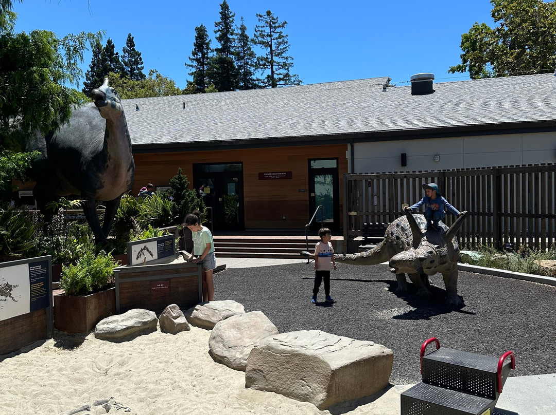 Palo Alto Junior Museum & Zoo-帕罗奥多必去景点