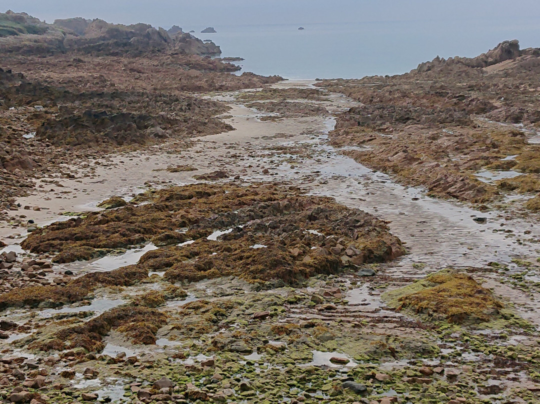 Cobo Bay-Castel必去景点