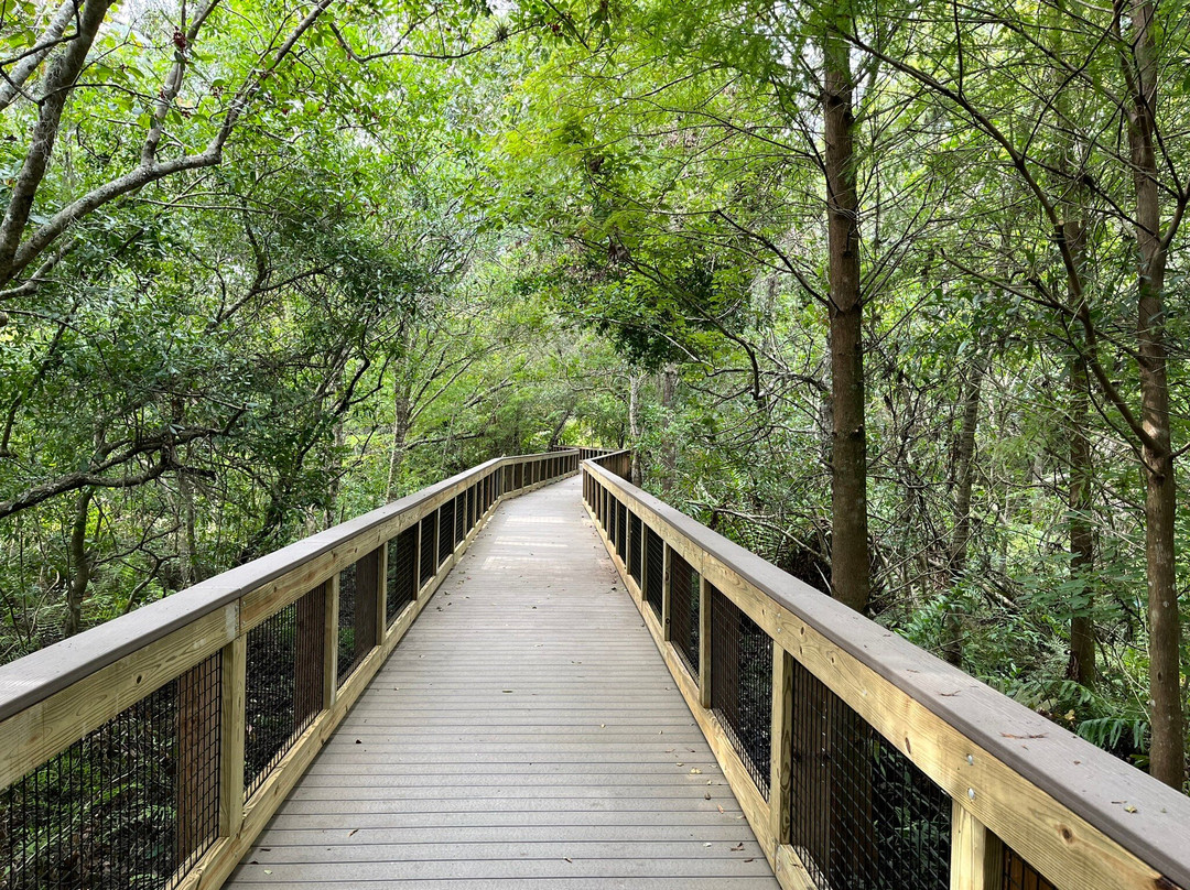 Sawgrass Lake Park-圣彼德斯堡必去景点