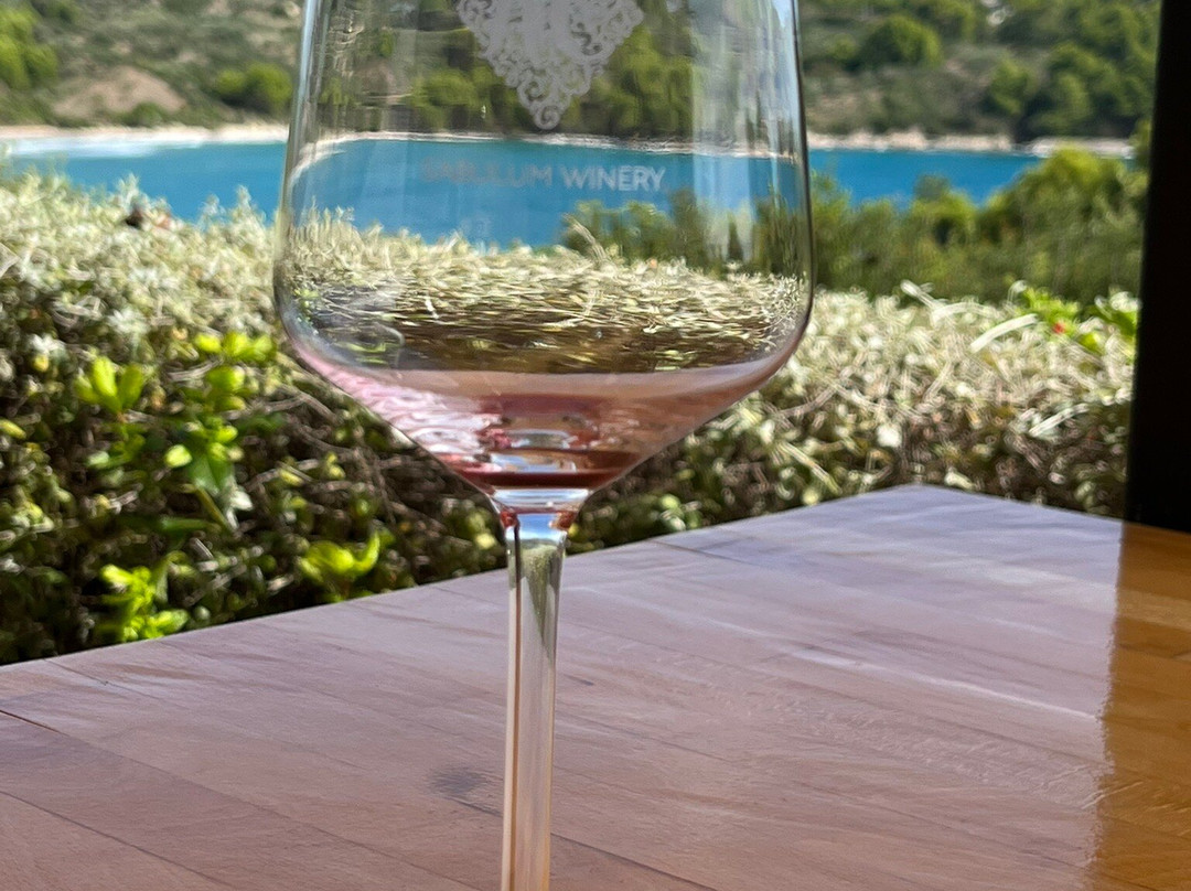 Winery Sabulum景点图片