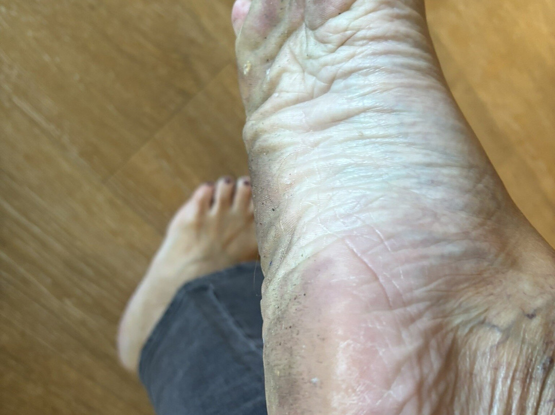 Ac Hotel Fort Lauderdale Sawgrass Mills/sunrise主图