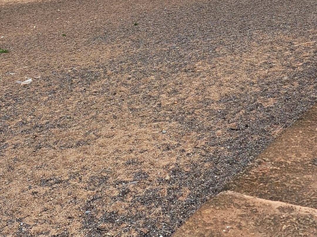 Red Rock Beach-Dawlish Warren必去景点